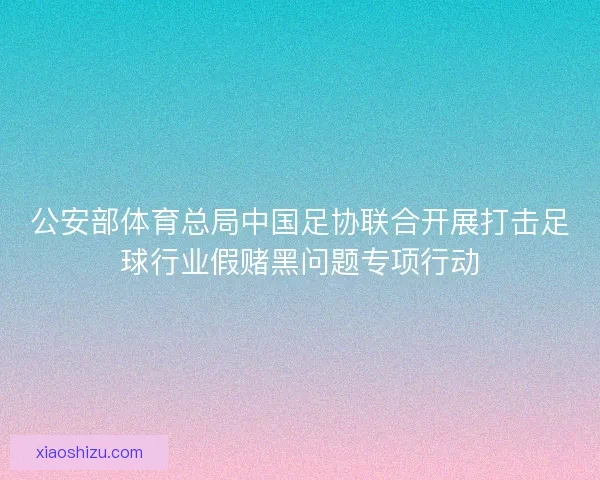 公安部体育总局中国足协联合开展打击足球行业假赌黑问题专项行动