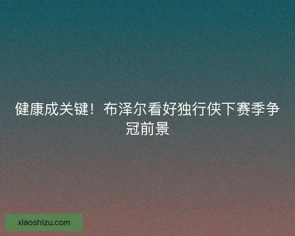 健康成关键！布泽尔看好独行侠下赛季争冠前景