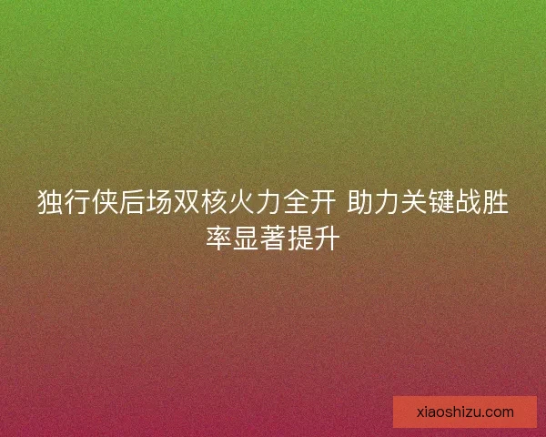 独行侠后场双核火力全开 助力关键战胜率显著提升